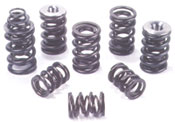 Discount Ferrea Valve Springs - Audi