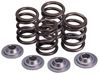 Valve Springs and Titanium Retainer Kit